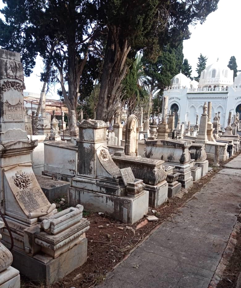 débroussaillage en cours octobre 2025