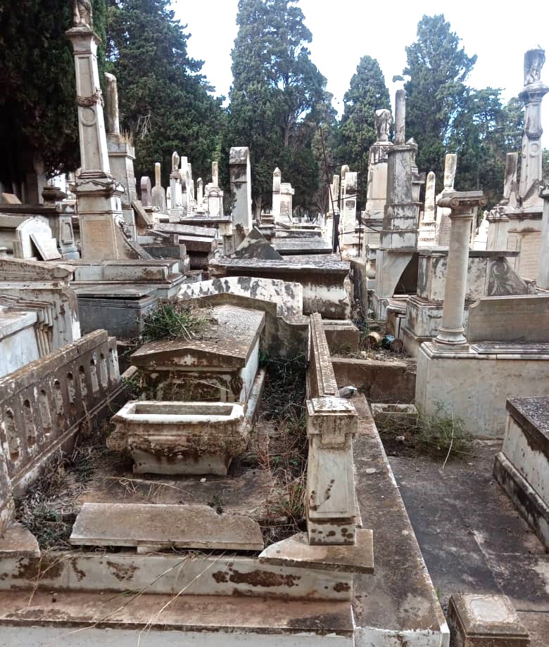 débroussaillage en cours octobre 2025