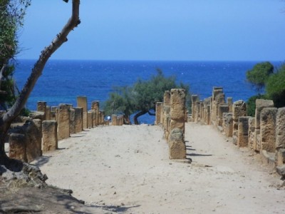 "Tipasa , ville antique de Maurétanie" : Presse de l'Imprimerie Officielle d'Alger (1952)